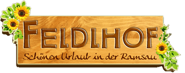 Logo footer
